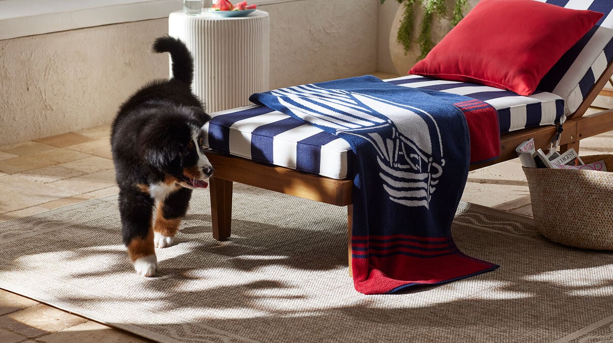 Image of a dog on outdoor rug